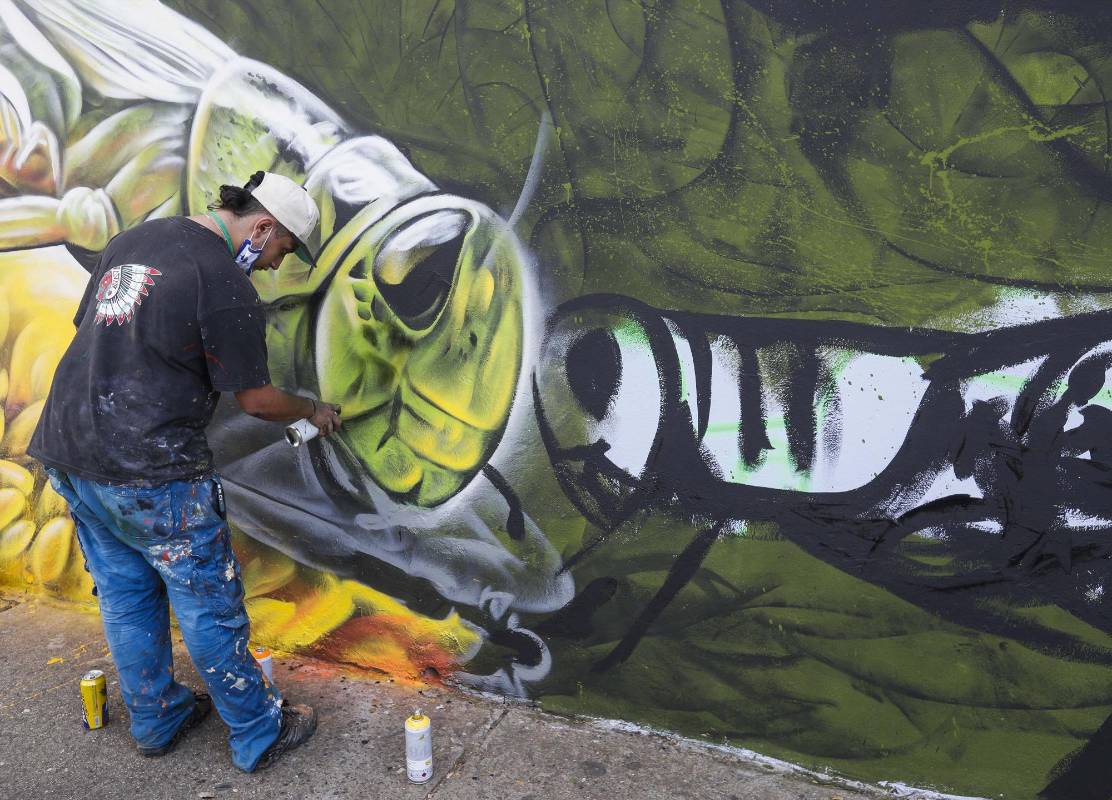 23 artistas urbanos tomaron sus aerosoles y brochas para darle color a la avenida Guayabal en el festival de grafiti de Comfenalco, Medellín. La temática de este año fue aquellos animales indeseados por ciertas personas que los consideran como “plagas” pero que son importantes para el ecosistema. Foto: Manuel Saldarriaga Quintero.