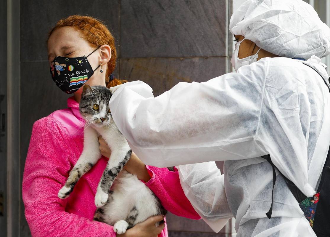 La alcaldía de Envigado y Sabaneta diseñan estrategias y ejecutan acciones para preservar la salud de las mascotas. Foto: Manuel Saldarriaga Quintero.