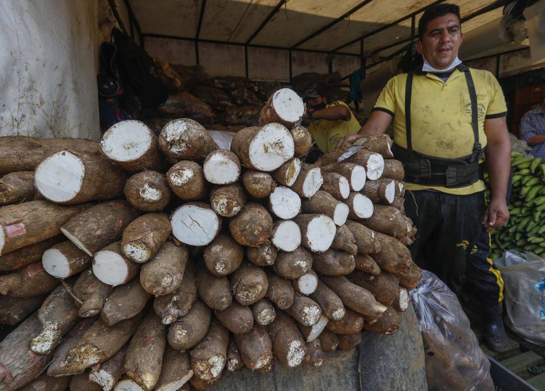 Con un aproximado de 5.985 toneladas de productos proveniente del todo departamento, la plaza Mayorista se abastece para que las familias puedan conseguir a precios económicos sus alimentos. Foto: Manuel Saldarriaga Quintero.