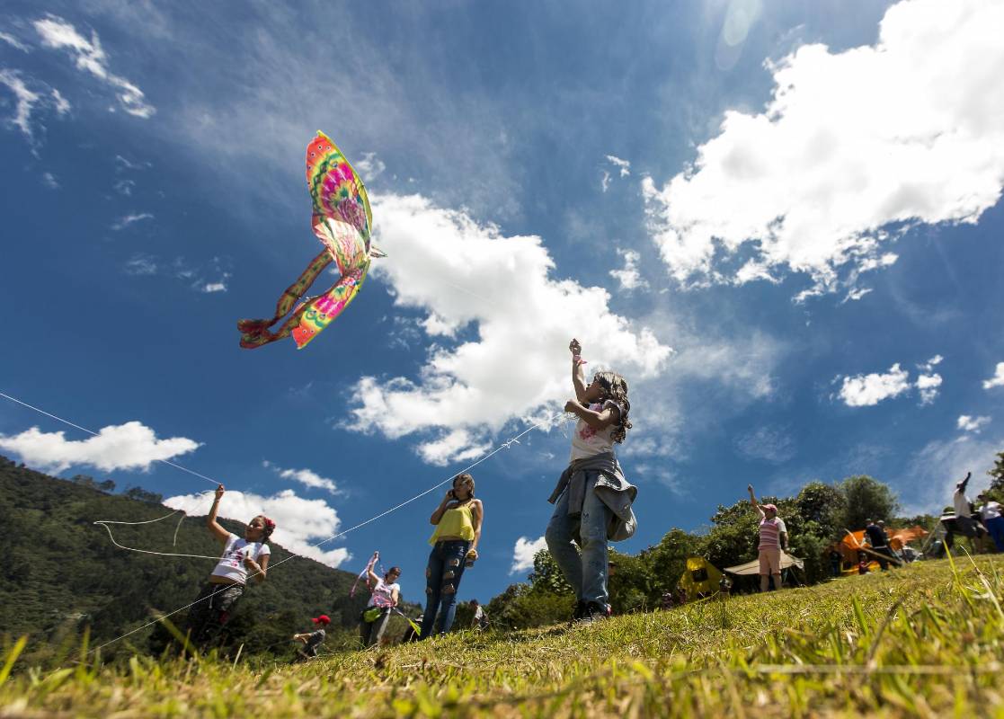 Además de disfrutar los vientos de agosto volando cometas, quienes se convocaron en Buga pudieron apreciar la creatividad en el aire. FOTO: CAMILO SUÁREZ.