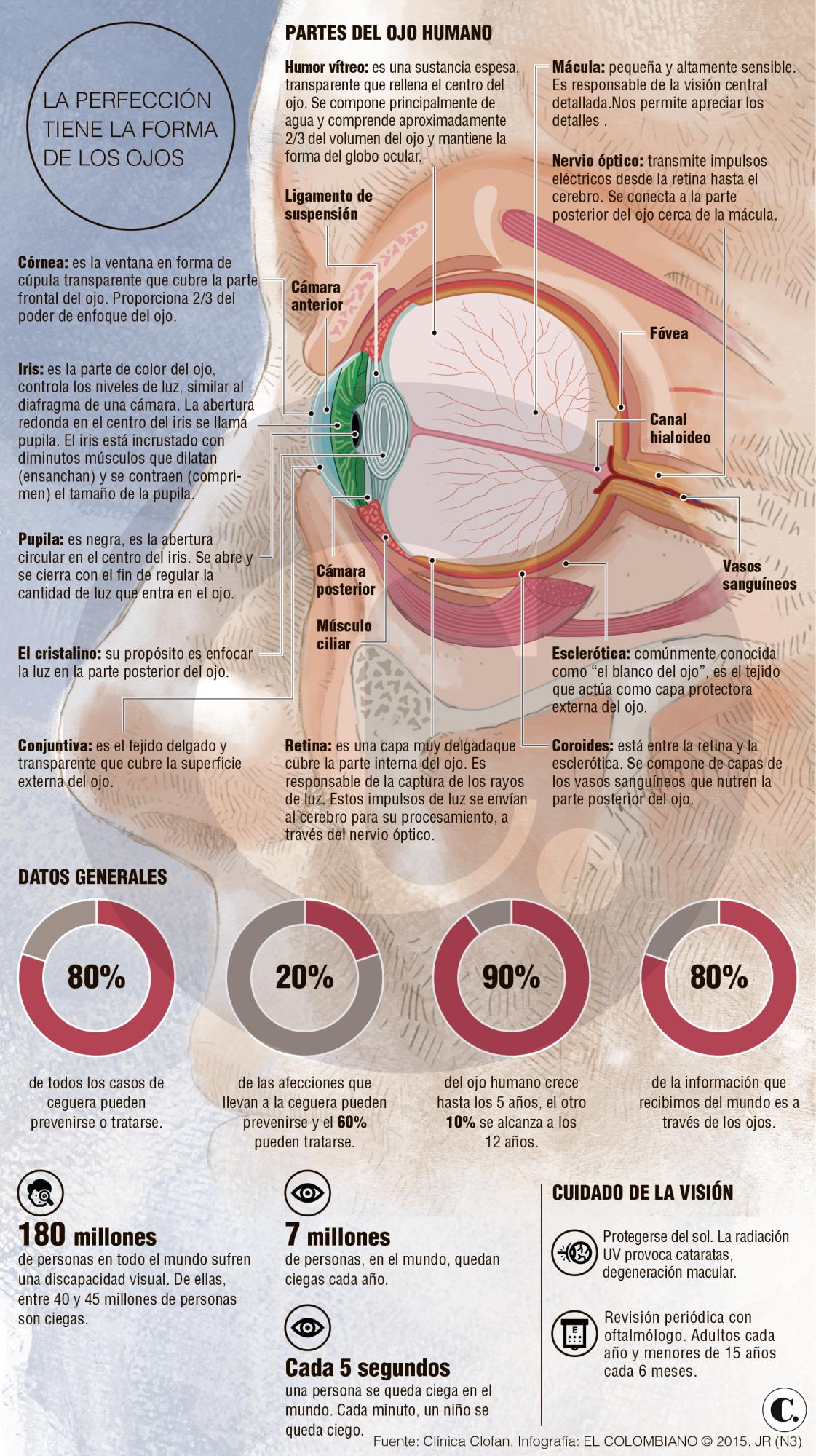 InfogrÃ¡fico