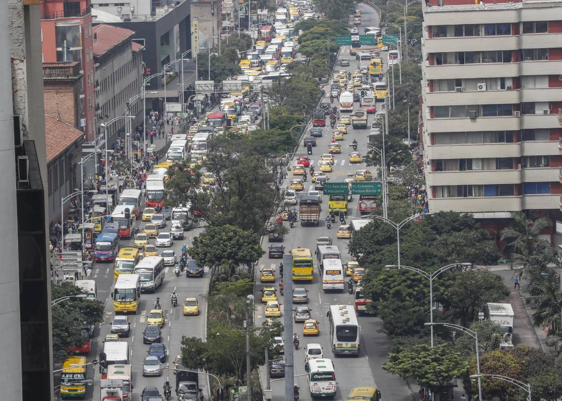 Con la siembra de arboles se pretende ayudar a mitigar la contaminación en la ciudad. Foto Robinson Sáenz Vargas
