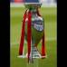 Reuters - El trofeo de la Eurocopa, el premio mayor del torneo.