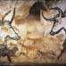 Commons Wikipedia - Hongo de la cueva de Lascaux Francia que amenaza las pinturas rupestres del sitio: Ochrononis lascauxenis.