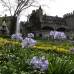 Foto R&#243;binson S&#225;enz - El imponente Castillo tiene amplios jardines, llenos de flores y vegetaci&#243;n.