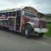 Nelson Matta - Un &#39;diablo rojo&#39;, as&#237; le llaman a los buses de servicio p&#250;blico en Ciudad de Panam&#225;.