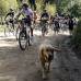 Manuel Saldarriaga - El ciclopaseo, realizado en el municipio de El Retiro, Oriente antioqueño, fue el evento que abrió la fiesta deportiva.