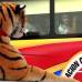 Colprensa - El ambiente en Barranquilla previo al partido contra Chile.