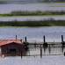Christian Castillo, Colprensa - Debido a las intensas lluvias de la temporada, se mantiene la alerta roja a lo largo de toda la ribera del r&#237;o Bogot&#225; a su paso por toda Cundinamarca.