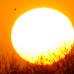 Reuters - El Sol, en todo su esplendor, visto desde la Tierra.
