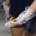Reuters - En Panam&#225; hay menos de quince ranas doradas viviendo en cautiverio, mientras que las salvajes se enfrentan a una situaci&#243;n m&#225;s cr&#237;tica, coincidieron cient&#237;ficos en una entrevista.