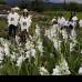 Foto Donaldo Zuluaga - Los visitantes pueden recorrer las diferentes veredas de Santa Elena, cuna de silleteros.