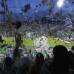 Manuel Saldarriaga y Esteban Vanegas - Fiesta total en el estadio Atanasio Girardot, a donde llegaron 45.066 espectadores y la recaudaci&#243;n fue de $1.457.488.000.