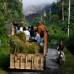 Reuters - La Agencia Nacional de Mitigaci&#243;n de Desastres dijo que 38 personas han muerto y 69.533 evacuadas desde que el Monte Merapi entr&#243; en erupci&#243;n el 26 de octubre.