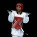 AP - Este joven taekwondista fue el único representante en esta disciplina por Colombia.