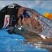 AP - Ryosuke Irie de Jap&#243;n compite en Hombres 100 metros espalda en el Campeonato Mundial de Nataci&#243;n FINA en Barcelona.