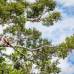 FOTO CORTESIA - COLPRENSA - Adem&#225;s de ejecutar sus mejores saltos, Orlando intercambi&#243; costumbres, comparti&#243; experiencias, disfrut&#243; del paisaje y vivi&#243; las maravillas de este hermoso lugar, l&#237;nea imaginaria que divide a estos tres pa&#237;ses latinoamericanos.