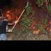 David S&#225;nchez - El director del Simpad aclar&#243; que no fue necesario apoyo a&#233;reo para sofocar las llamas y que los bomberos estar&#237;an en el sitio hasta controlar totalmente el incendio forestal. Agreg&#243; que &quot;las causas del incendio, hasta ayer, no fueron establecidas.