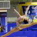 COLPRENSA - La Gimnasia art&#237;stica inici&#243; sus bellos movimientos con la modalidad r&#237;tmica entregando las dos primeras medallas de oro en la rama femenina en las competencias de Aro y Pelota.