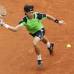 Reuters - Ferrer aguant&#243; lo que pudo, pero un vendaval le pas&#243; por encima. &quot;Hizo un tenis perfecto&quot;, resumi&#243; Alex Corretja, capit&#225;n del equipo espa&#241;ol de Copa Davis.