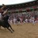 Reuters - Las fiestas San Fermín, en las que una multitud corre junto a seis toros bravos por las calles de Pamplona, en España, son uno de los mayores atractivos en esta época del año. Desde 1924, 15 personas han muerto en los encierros que fueron inmortalizados en la novela Fiesta de Hemingway.
