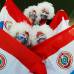 AP - Los colores paraguayos se apoderaron del rstadio Mangaung, Free State, de Bloemfontein.