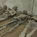 AFP - En la tumba reposan los cuerpos de los miembros de la orden de los capuchinos, sus mecenas e importantes personalidades de Brno.