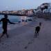 Reuters - El surfista peruano Domingo Pianezzi desaf�a las olas con su alpaca Pisco.