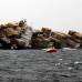 Reuters - Despu&#233;s del naufragio en el arrecife de Astrolabe, a unos 12 kil&#243;metros de la costa norte neozelandesa, ahora las alarmas son ambientales.