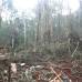 Cortesía- Imágenes sensibles - El campamento estaba camuflado en la espesa selva de La Macarena.
