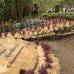 Colprensa-Christian Castillo - Las entidades junto a la Alcaldía Mayor de Bogotá sembraron un jardín conmemorativo en forma de corazón, como símbolo de vida y amor que se les debe brindar a todas las mujeres y como un rechazo a todo tipo de actos violentos contra el género.