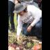 Colprensa-Christian Castillo - Según el director del Jardín Botánico, Luis Olmedo Martínez, este es un acto para todas las mujeres, y para todos los colombianos, un acto por el recuerdo eterno, queremos sembrar la vida ante tanta adversidad solo nos queda el deber de la esperanza.