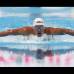 AP - Chad le Clos de Sud&#225;frica nada en la competencia de 200 metros mariposa hombres en la semi-final del campeonato mundial de nataci&#243;n en Barcelona.