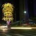 Juan Sebasti&#225;n Carvajal Beltr&#225;n - Un guayac&#225;n de 24 metros de alto llena de luz la Avenida Oriental con La Playa.