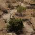 Foto: Luisa Gonz&#225;lez - Colprensa - Aunque no se conoce a ciencia cierta qu&#233; cantidad de agua hay bajo los suelos del Casanare, ni de Paz de Ariporo, las actividades de exploraci&#243;n y explotaci&#243;n de hidrocarburos requieren de un caudal permanente para su funcionamiento.
