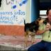 Juan Antonio S&#225;nchez - Ram&#243;n Eduardo Molina, un gramalotero, lleva seis a&#241;os vendiendo chance a sus paisanos, en compa&#241;&#237;a de su perro. Los dos amigos siguen en su labor, porque las veredas de la localidad no resultaron afectadas en la tragedia.