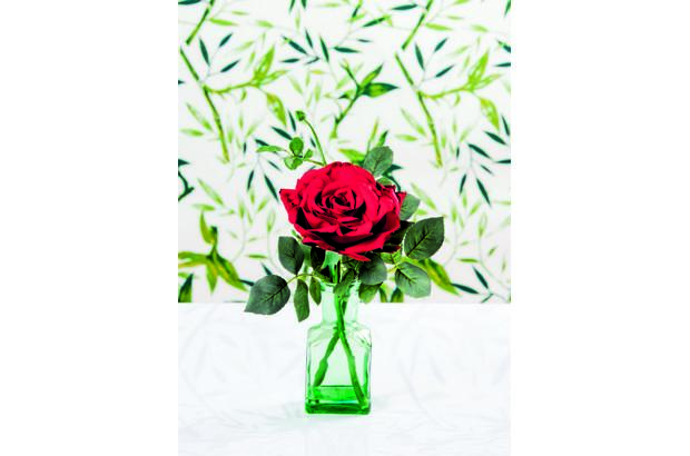 - Vidrio verde y rosa artificial, Delacalle.