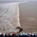 Reuters - Cientos de turistas vieron como la marea alta pasó a centímetros de la orilla del río Qiantang en Haining, provincia de Zhejiang, China.