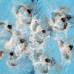 AP - Impactantes estuvieron las chinas en su presentaci&#243;n en el Mundial de Nataci&#243;n. El equipo chino aument&#243; hoy con dos medallas de oro m&#225;s su diferencia en el medallero de los Mundiales de Shangh&#225;i.