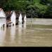 Donaldo Zuluaga - El agua supera los primeros pisos de las viviendas, lo que oblig&#243; a las evacuaciones.