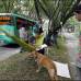 Jaime Pérez - Conductores de particulares, incluso de buses, hicieron sonar las bocinas en apoyo al movimiento.