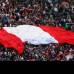 Reuters - La hinchada de Per&#250; celebr&#243; en grande su tercer puesto en la Copa Am&#233;rica Argentina 2011.