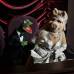 - Piggy y la rana Ren&#233; tambi&#233;n hicieron parte de la ceremonia en la que recibieron el galard&#243;n a Mejor canci&#243;n original.