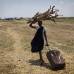 AFP - Una mujer de Sud&#225;n lleva madera para reforzar su casa en un campo de desplazados exclusivo para el grupo &#233;tnico Dinka en Sud&#225;n del sur.