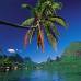 FOTO CORTESÍA TAHITÍ TURISMO - El cupo en la Copa Confederaciones de Brasil lo consiguieron luego de vencer a Nueva Caledonia y proclamarse campeones de la Copa de Oceanía de la Fifa.