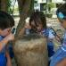 - Las batas, lupas, microscopios, tubos de ensayo, frascos y balanzas son herramientas que se pueden usar en un laboratorio de investigaci&#243;n preescolar.