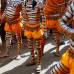 REUTERS - Onam es un festival anual hind&#250; celebrado en Kerala, India, dedicado a la cosecha y que se realiza durante el mes de Chingam (Agosto-Septiembre). Una de sus festividades es el Pulikali o la danza del tigre. Los bailarines, entre ellos algunos ni&#241;os, pintan sus cuerpos con la imagen del felino m&#225;s grande del mundo, en una expresi&#243;n cultural que gira en torno al tema de la caza del animal.