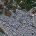 Digital Globe - Reuters - Una imagen satelital del distrito Baba Amr de Homs en Siria, lugar de fuertes enfrentamientos entre el gobierno los rebeldes. Los rebeldes fueron derrotados y abandonaron este lugar que hab&#237;a sido un s&#237;mbolo de la revuelta contra del presidente Bachar al-Asad.