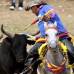 Reuters - Las organizaciones defensoras de los animales buscan que las leyes nacionales proh&#237;ban las corridas de toros, las corralejas, las peleas de gallos y cualquier otra forma de maltrato animal pero hasta el momento son muy pocos los avances alcanzados en su protecci&#243;n.