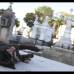 Mario Franco-Colprensa - El Cementerio Municipal de Mompox, Bol&#237;var, es un lugar fascinante que a lo largo de los a&#241;os ha tenido un apacible deterioro, en sus tumbas se pueden encontrar l&#225;pidas que datan del a&#241;o 1831. El descanso eterno de sus hu&#233;spedes es singularmente cuidado por gatos, felinos que se pasean por las tumbas en lo que parecieran rondas de estricta vigilancia.